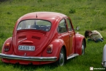 vwclassicclub-1mai-la-mare-81.JPG