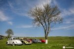 vwclassicclub-1mai-la-mare-86.JPG