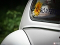 bbm2007-97.JPG