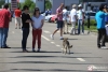 KDF_Party_vwclassicclub-316